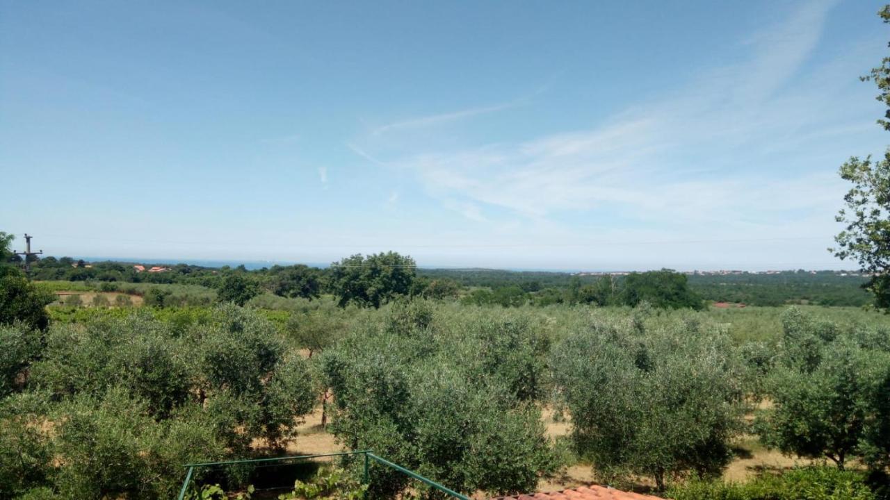 Ghedas Porec